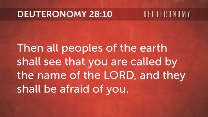 Final Analysis, Called by the Name